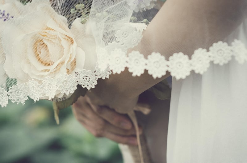 Vintage Birdcage Veil